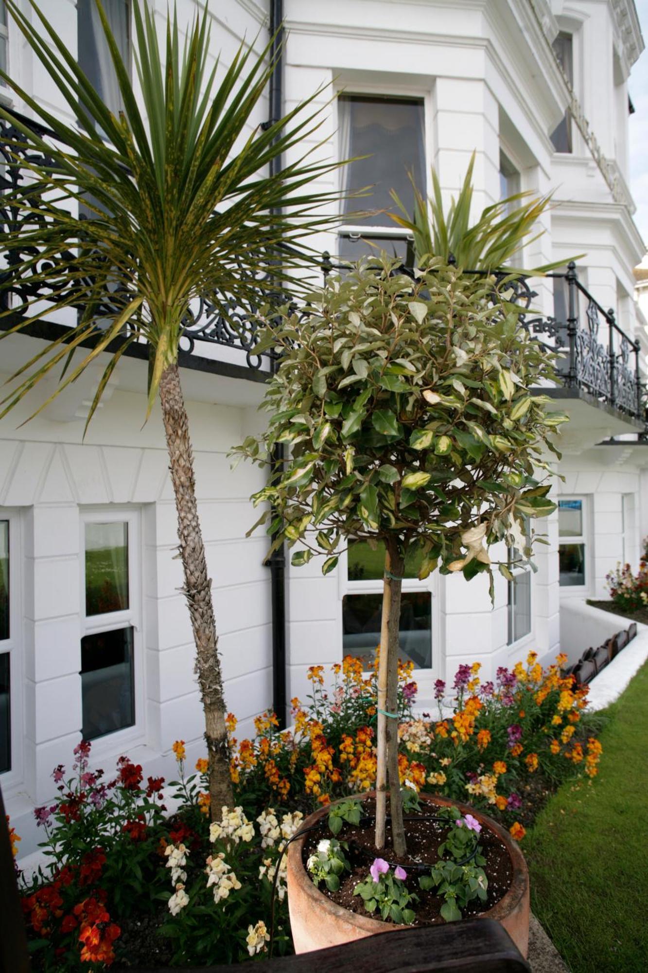 Devonshire Park Hotel AEGON International Esterno foto